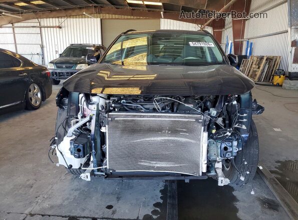 2T3RWRFVXSW269117 2025 TOYOTA RAV4 Blue 