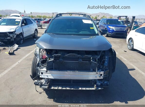 2T3S1RFV2PW389162 2023 TOYOTA RAV4 Gray Вид задньої частини салону