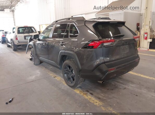 2T3S1RFV4PW343753 2023 TOYOTA RAV4 Серый Задняя левая четверть