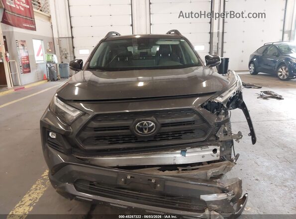 2T3S1RFV4PW343753 2023 TOYOTA RAV4 Серый Вид задней части салона