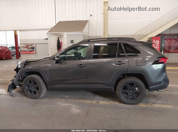 2T3S1RFV4PW343753 2023 TOYOTA RAV4 Серый 