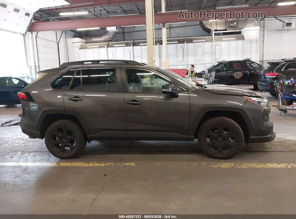 2T3S1RFV4PW343753 2023 TOYOTA RAV4 Серый Панорамный вид салона 360°