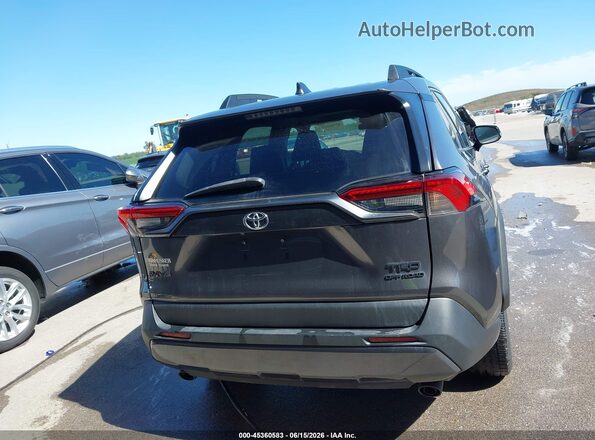2T3S1RFV9PW350939 2023 TOYOTA RAV4 Gray 
