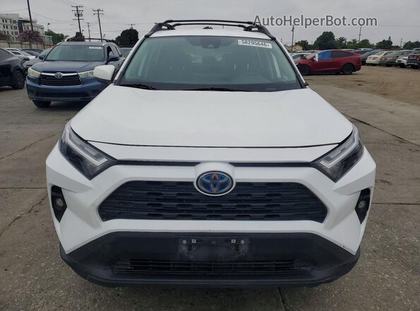 2T3UWRFV1PW160949 2023 TOYOTA RAV4 White 