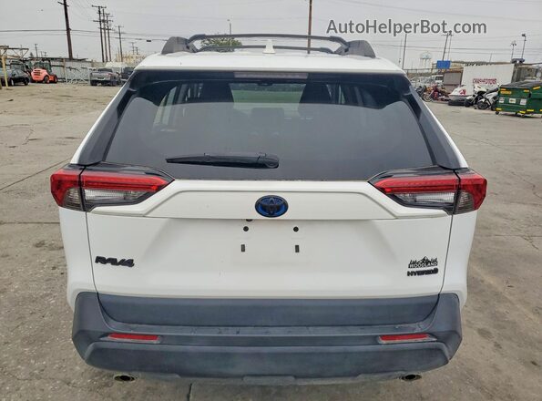 2T3UWRFV1PW160949 2023 TOYOTA RAV4 White 