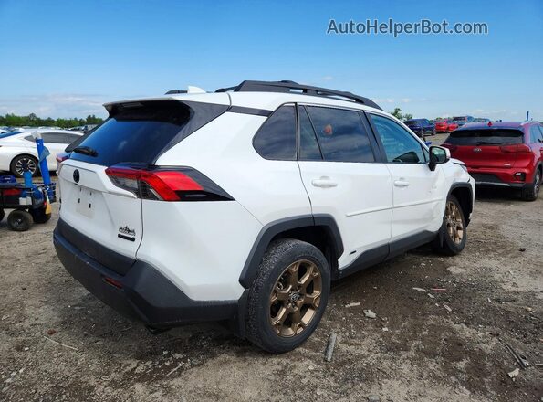 2T3UWRFV4PW163361 2023 TOYOTA RAV4 White 