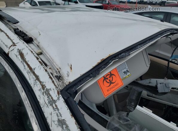2T3W1RFV0LW083265 2020 TOYOTA RAV4 White 