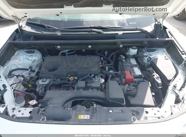 2T3W1RFV0PW274934 2023 TOYOTA RAV4 White Widok z tyłu