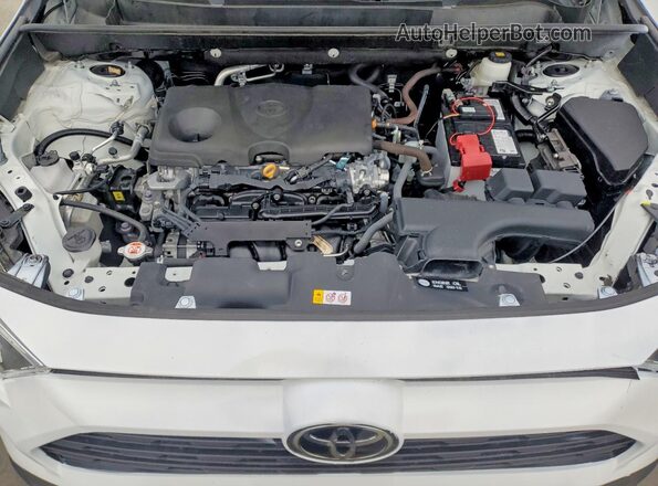 2T3W1RFV0RC291091 2024 TOYOTA RAV4 White Vista del compartimento del motor