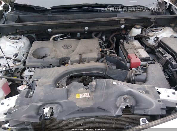 2T3W1RFV0SW374122 2025 TOYOTA RAV4 Белый Вид сзади
