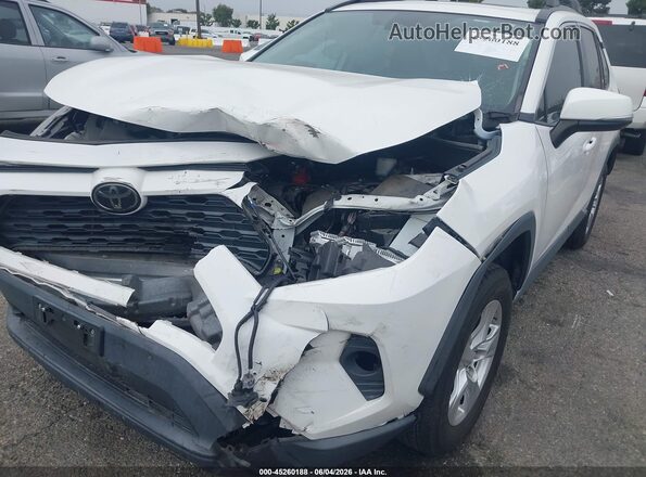 2T3W1RFV1KW024174 2019 TOYOTA RAV4 White Vista frontal