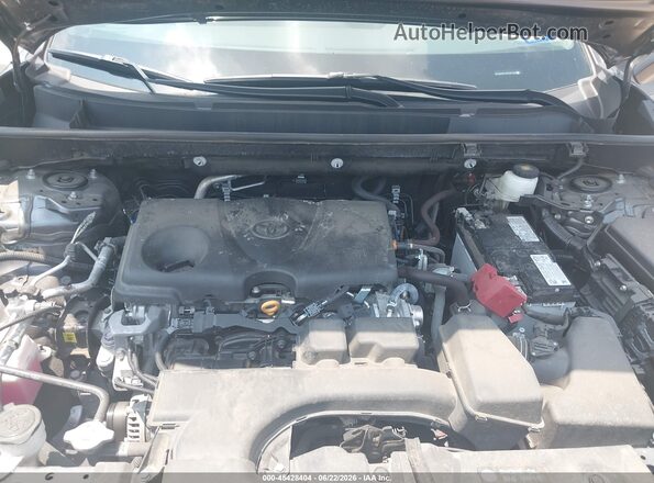 2T3W1RFV1RC281749 2024 TOYOTA RAV4 Gray Հետևի տեսք