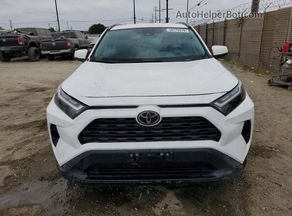 2T3W1RFV1RW312688 2024 TOYOTA RAV4 White 