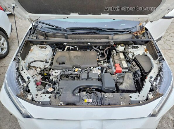 2T3W1RFV4PW249924 2023 TOYOTA RAV4 White 