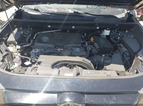 2T3W1RFV5KW003926 2019 TOYOTA RAV4 Black Вид ззаду