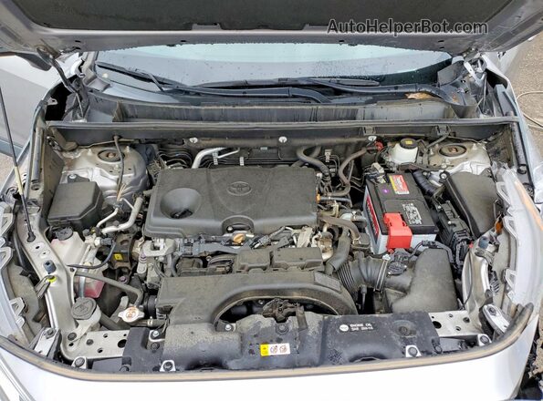 2T3W1RFV5LC037304 2020 TOYOTA RAV4 Silver 