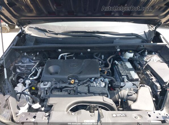 2T3W1RFV5RC253663 2024 TOYOTA RAV4 Gray Widok z tyłu
