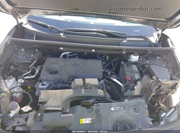 2T3W1RFV5RW341658 2024 TOYOTA RAV4 Black Вид ззаду