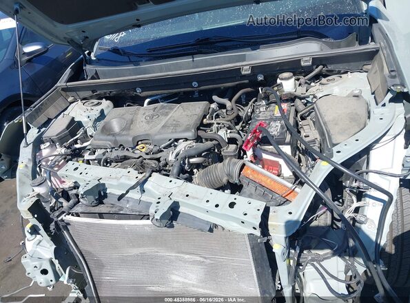 2T3W1RFV7MW179458 2021 TOYOTA RAV4 Зеленый Вид сзади