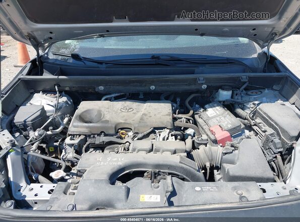 2T3W1RFV8LC059698 2020 TOYOTA RAV4 Silver Вид ззаду
