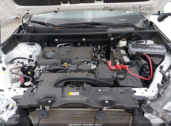 2T3W1RFV8RW325003 2024 TOYOTA RAV4 White უკანა ხედი