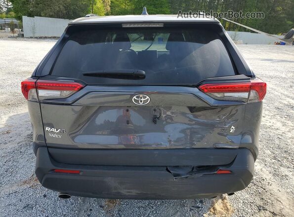 2T3W1RFV8SC304546 2025 TOYOTA RAV4 Gray Հետևի տեսք