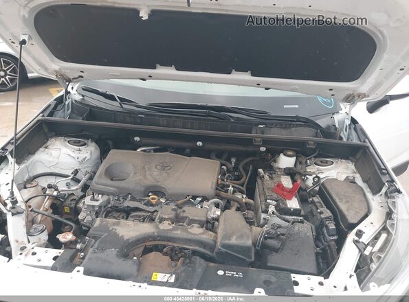 2T3W1RFV8SW383148 2025 TOYOTA RAV4 White 