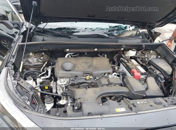 2T3W1RFV9RW302166 2024 TOYOTA RAV4 Black Հետևի տեսք