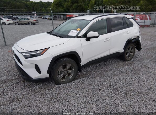 2T3W1RFV9RW331425 2024 TOYOTA RAV4 White 