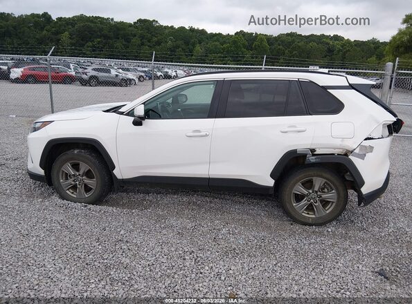 2T3W1RFV9RW331425 2024 TOYOTA RAV4 White 