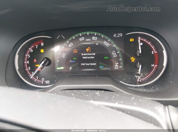 2T3W1RFV9SC347471 2025 TOYOTA RAV4 Белый Вид задних сидений