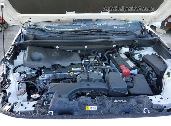 2T3W1RFV9SC353691 2025 TOYOTA RAV4 White 