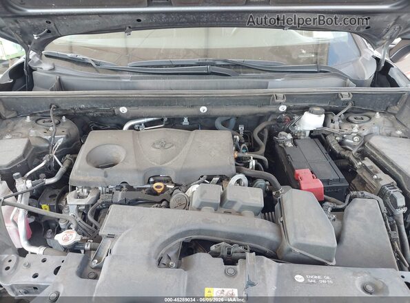 2T3W1RFVXPW247806 2023 TOYOTA RAV4 Gray Հետևի տեսք