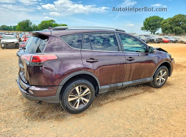 2T3WFREV0HW321013 2017 TOYOTA RAV4 Purple უკანა მარჯვენა