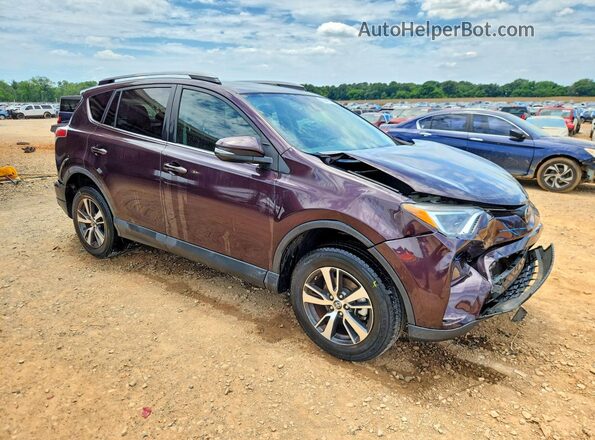 2T3WFREV0HW321013 2017 TOYOTA RAV4 Purple წინა მარჯვენა