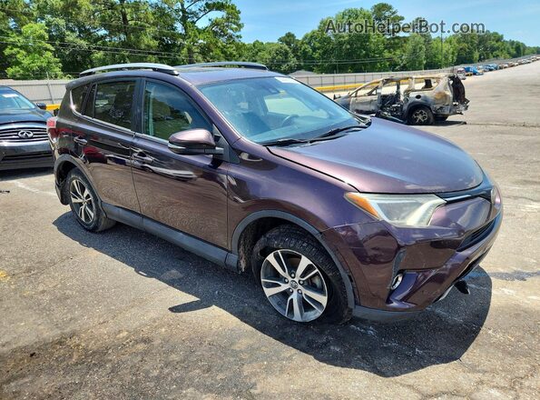 2T3WFREV1HW383049 2017 TOYOTA RAV4 Maroon წინა მარჯვენა