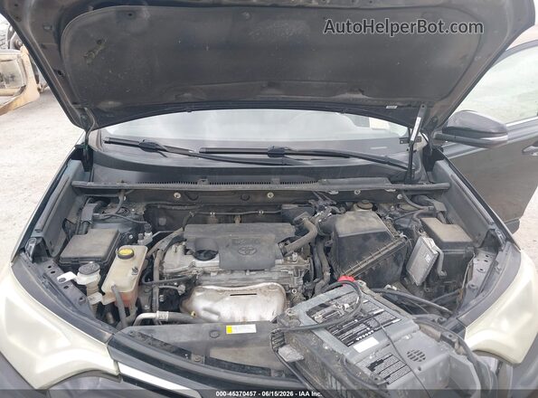 2T3WFREV2GW235698 2016 TOYOTA RAV4 Черный Вид сзади