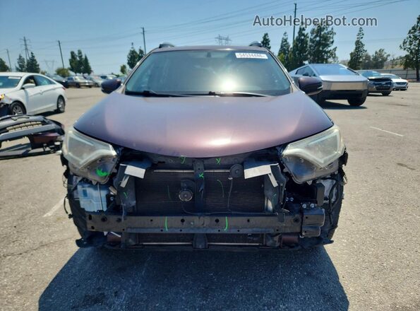 2T3WFREV2GW298977 2016 TOYOTA RAV4 Burgundy Widok z przodu