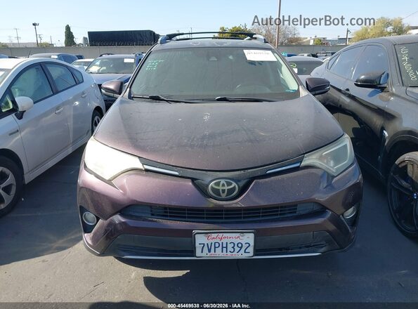 2T3WFREV2HW320123 2017 TOYOTA RAV4 Фиолетовый Вид задней части салона