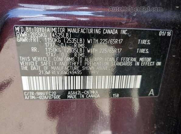 2T3WFREV3GW249495 2016 TOYOTA RAV4 Purple 