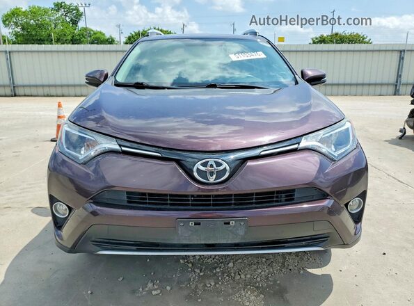 2T3WFREV3GW249495 2016 TOYOTA RAV4 Purple 