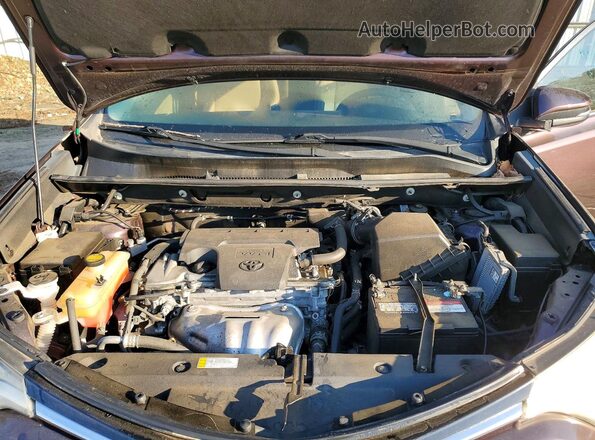 2T3WFREV3HW326562 2017 TOYOTA RAV4 Фиолетовый Вид задней части салона