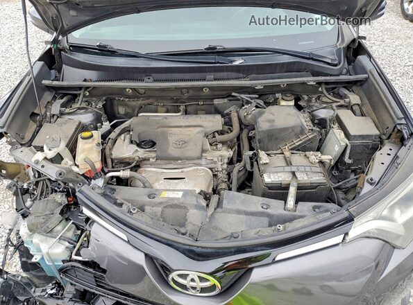 2T3WFREV4GW252874 2016 TOYOTA RAV4 Charcoal 