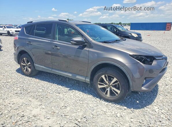 2T3WFREV7GW252383 2016 TOYOTA RAV4 Charcoal 