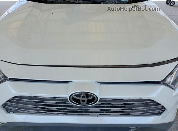 2T3Y1RFV2RW345031 2024 TOYOTA RAV4 White Սալոնի հետևի տեսք