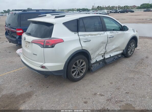 2T3YFREV2HW329641 2017 TOYOTA RAV4 White Rear right