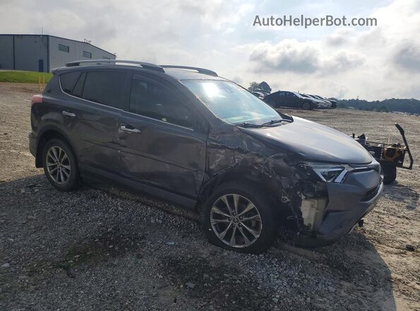 2T3YFREV3HW315277 2017 TOYOTA RAV4 Charcoal 