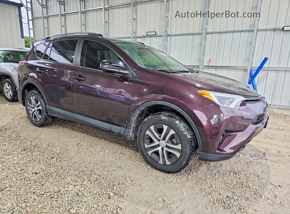 2T3ZFREV4HW343240 2017 TOYOTA RAV4 Purple Առջևի աջ