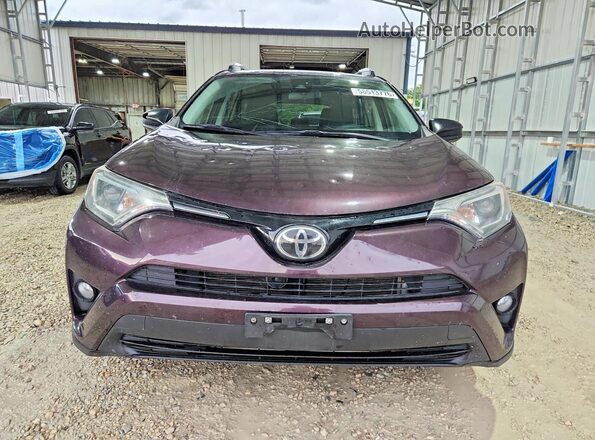 2T3ZFREV4HW343240 2017 TOYOTA RAV4 Purple Դիմացի տեսք