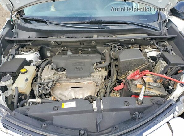 2T3ZFREV5JW469127 2018 TOYOTA RAV4 Белый Вид задней части салона